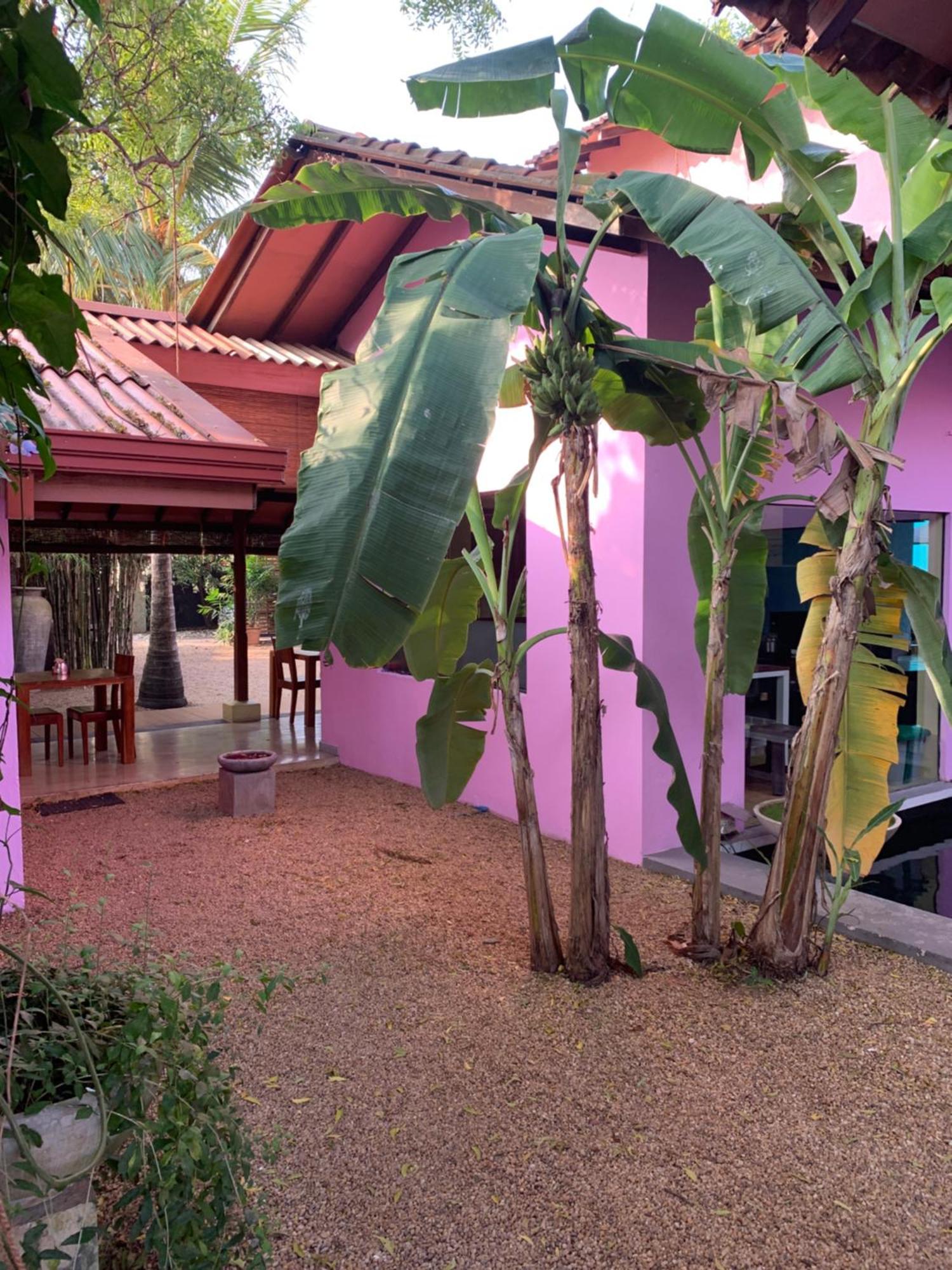 Dickman Resort "The Boutique Hotel" Negombo Bagian luar foto