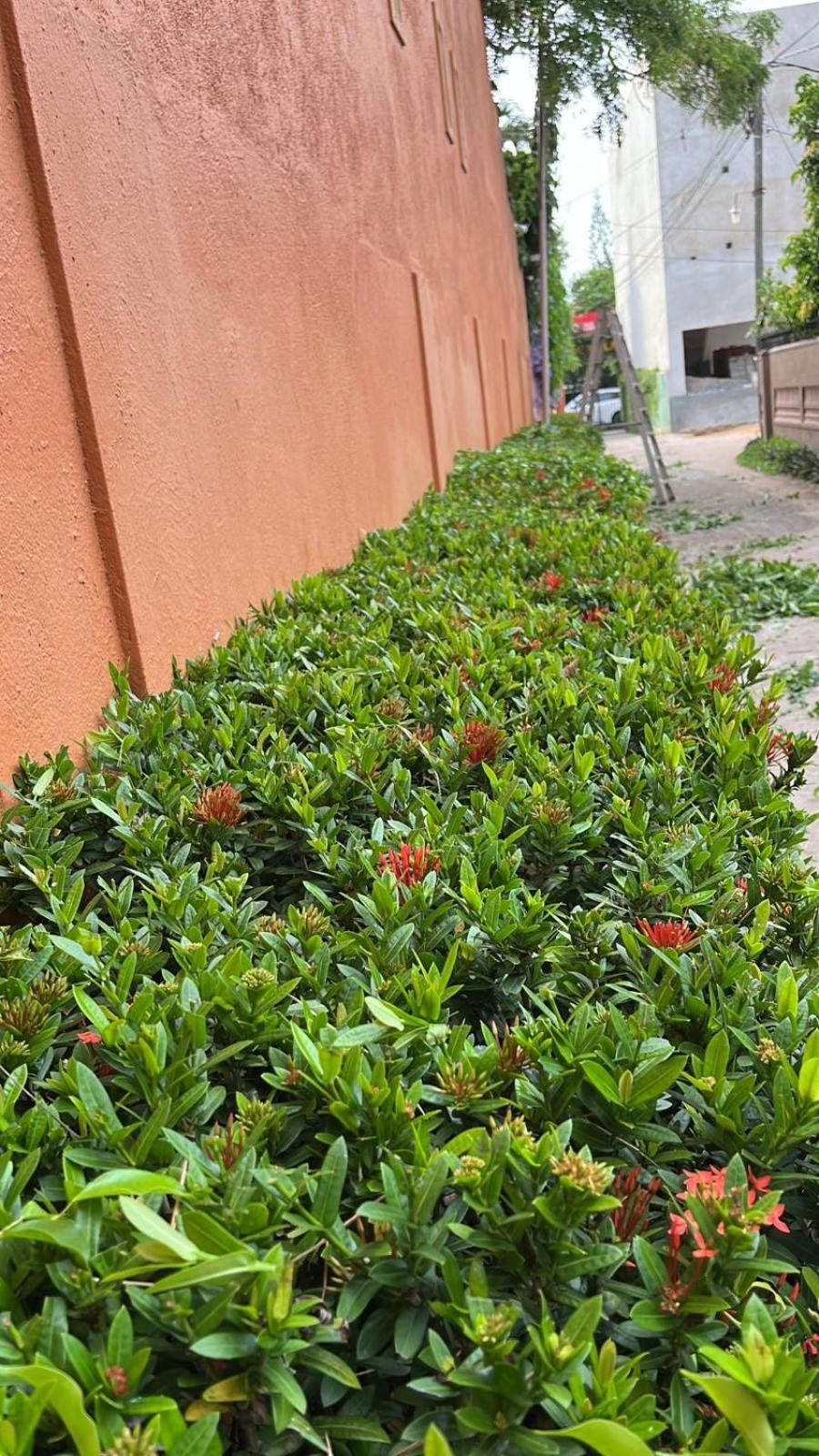 Dickman Resort "The Boutique Hotel" Negombo Bagian luar foto